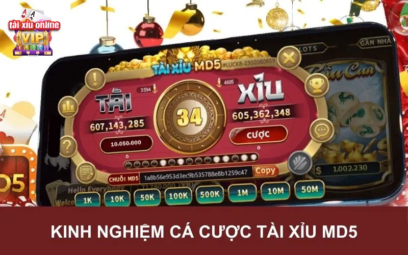 Một số kinh nghiệm cá cược hữu ích trong tài xỉu online MD5